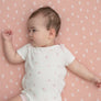 Cotton Jersey Fitted Sheet - Dusty Rose