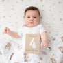 Cotton Jersey Fitted Sheet - Honey Pot