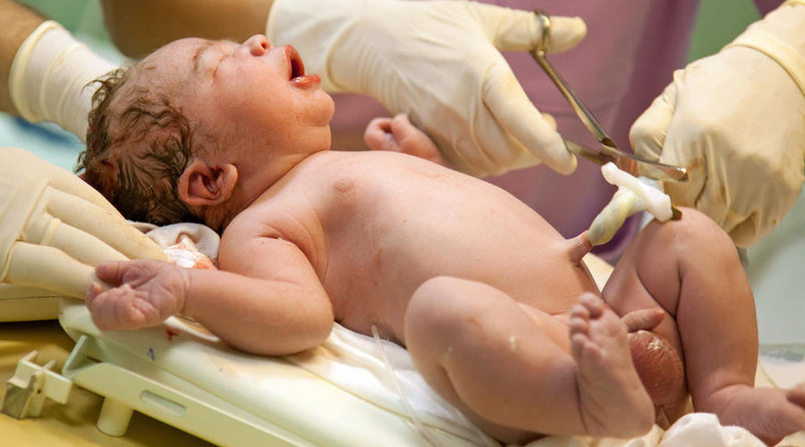 The Advantages and Disadvantages of Cord Blood Banking