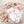 Hello World Gift Set - Sophia's Garden