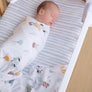 Cotton Jersey Fitted Sheet - Blue Stripes